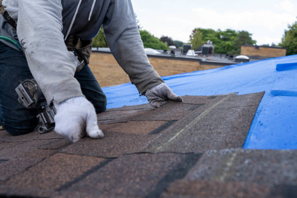 Quick and Trustworthy Emergency Roof Repair Services in Scotts Valley, CA